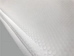 Scagaire Craiceann Honeycomb PP d'Aeir